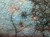 Glasur mit Haarrissen